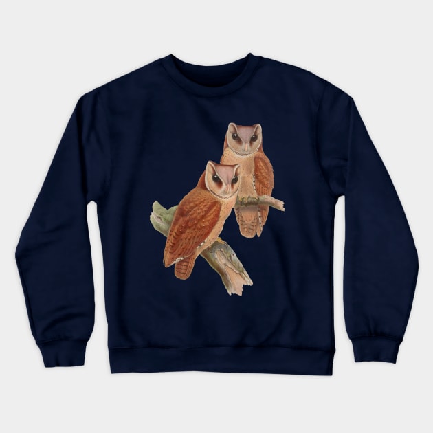 Pair of Owls Painting Crewneck Sweatshirt by PatrioTEEism